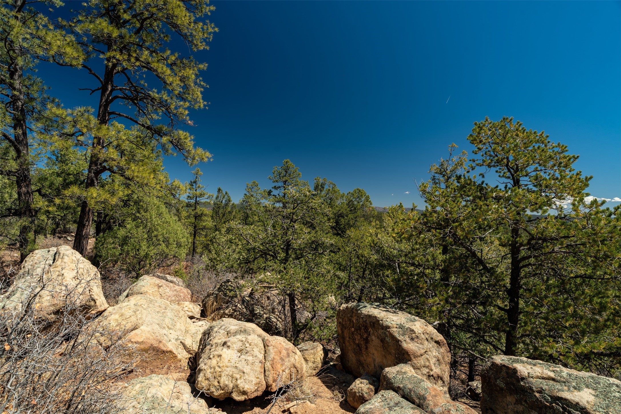 30 Monte La Cueva Road Glorieta, NM 87535 - Photo 65 of 91
