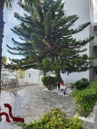 a view of a backyard with a garden