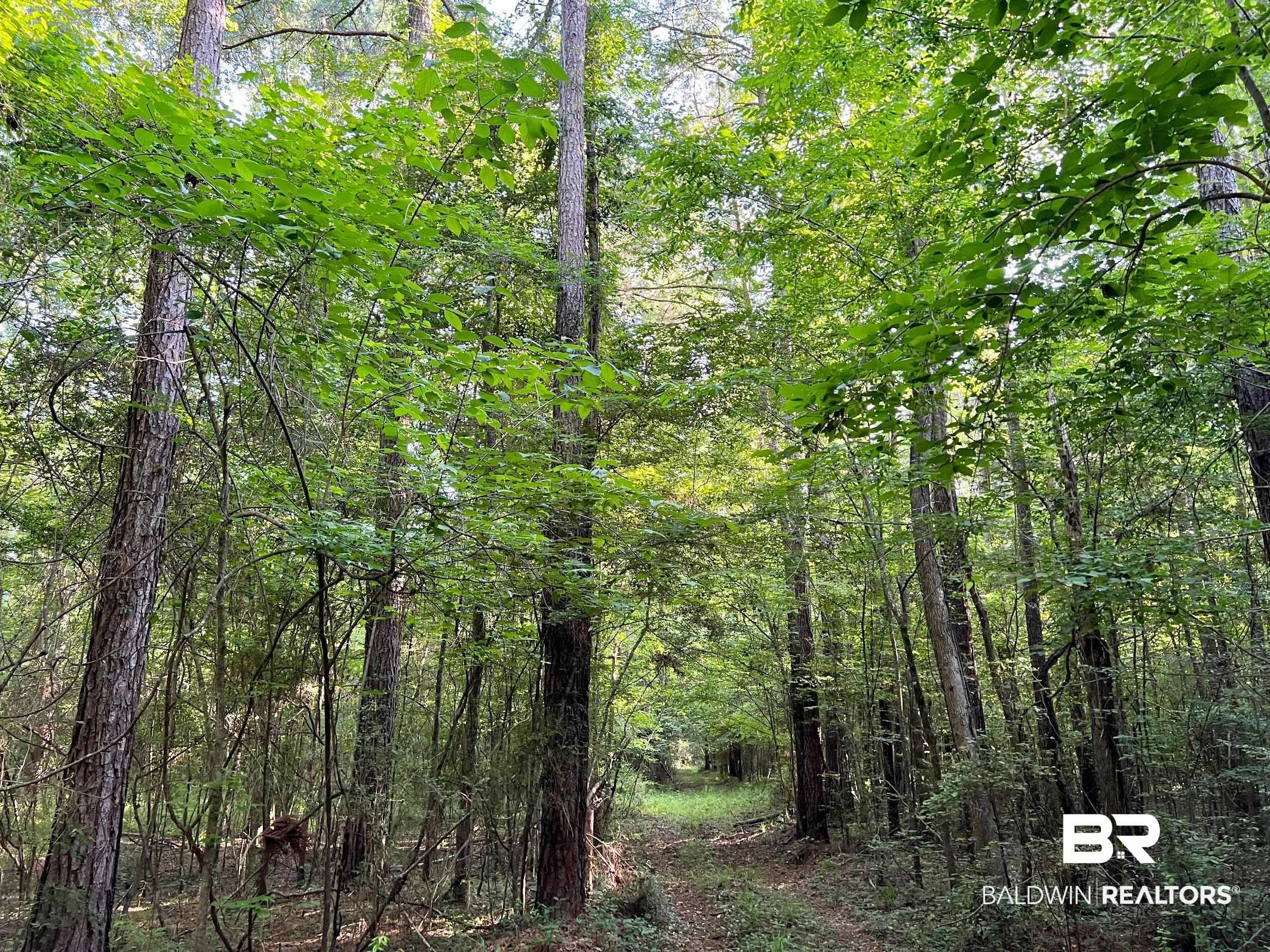 0 Country Road Millry, AL 36558 - Photo 33 of 49