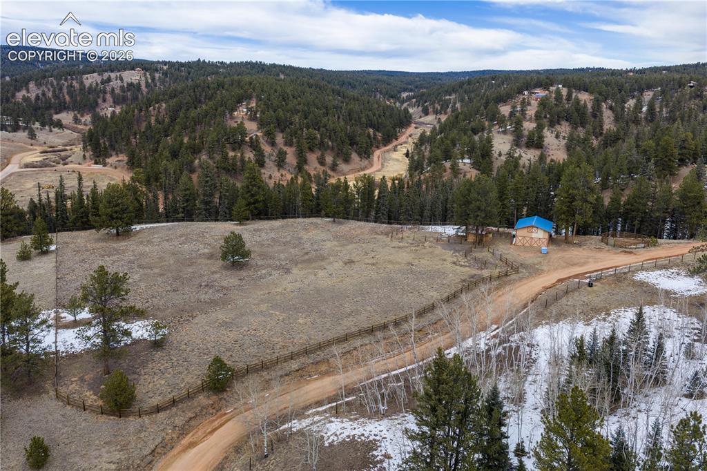 1910 Wildhorn Road Florissant, CO 80816 - Photo 41 of 49