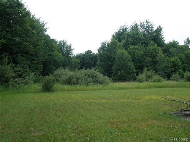 3746 Westphal Road Howell, MI 48843 - Photo 2 of 11 Beautiful!