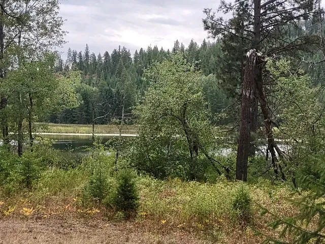 $85,000 | Xx Little Sweden Road, Unit LOT D, Valley, WA 99181