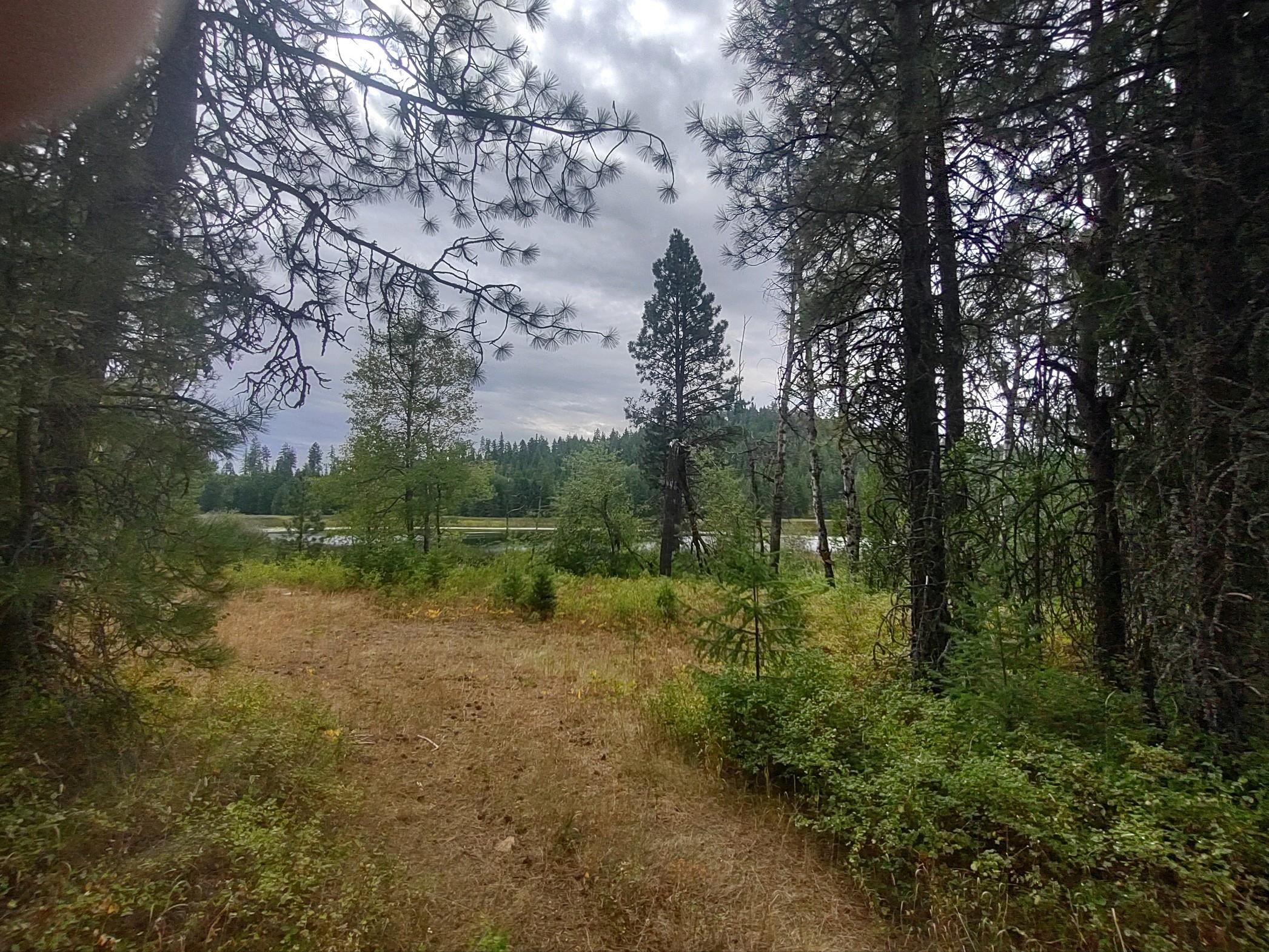 Xx Little Sweden Road, Unit LOT D Valley, WA 99181 - Photo 6 of 9