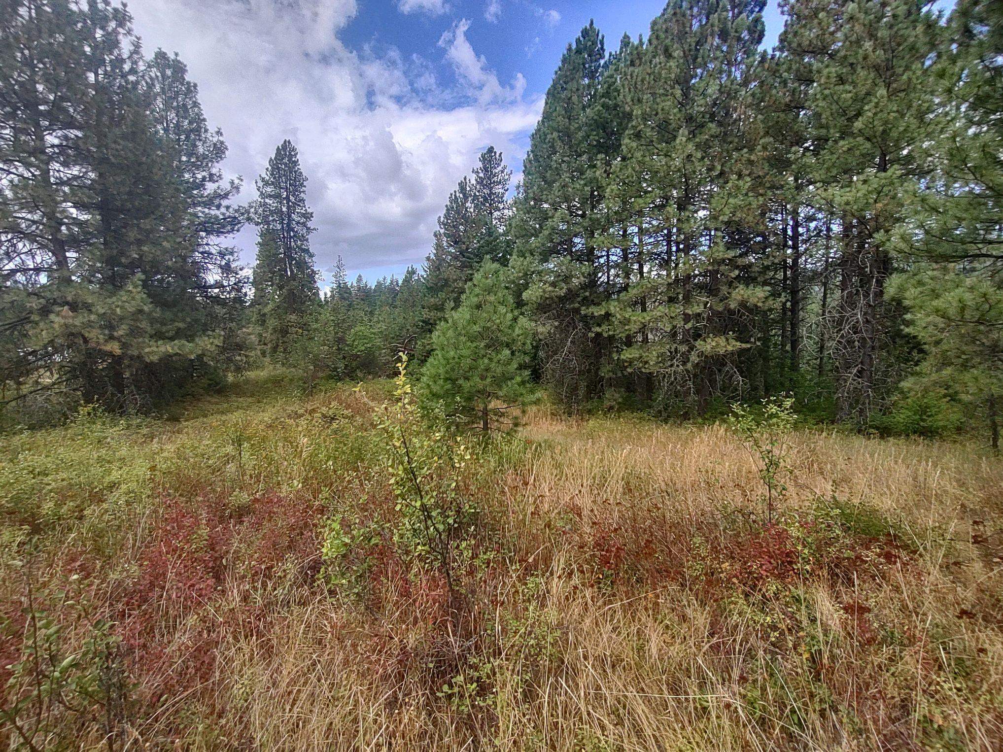 Xx Little Sweden Road, Unit LOT D Valley, WA 99181 - Photo 7 of 9