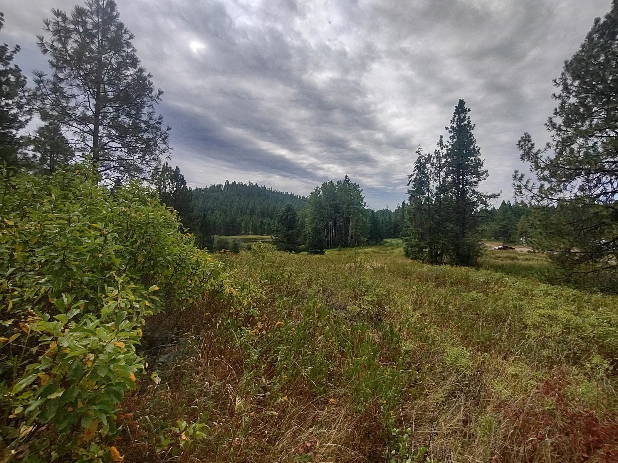 Xx Little Sweden Road, Unit LOT D Valley, WA 99181 - Photo 8 of 9