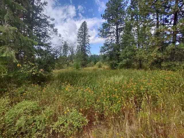 $85,000 | Xx Little Sweden Road, Unit LOT D, Valley, WA 99181