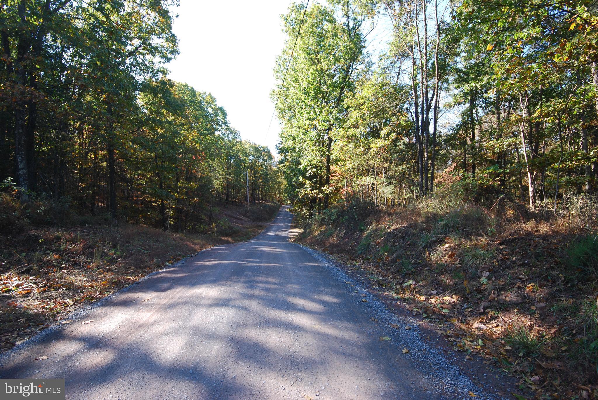 Lot 17 Gaither Road Great Cacapon, WV 25422 - Photo 20 of 23 a view of a forest with trees