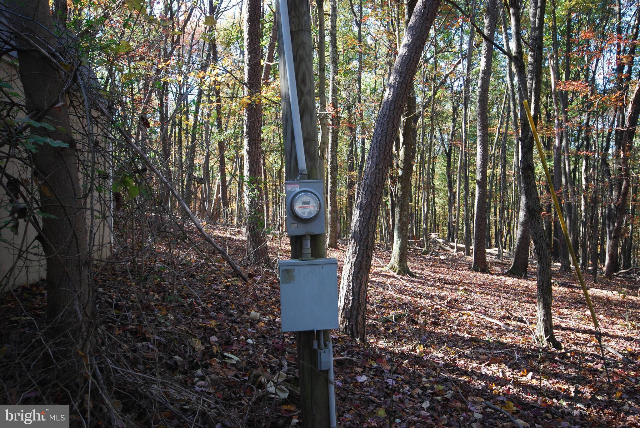 Lot 17 Gaither Road Great Cacapon, WV 25422 - Photo 6 of 23 a view of a outdoor space