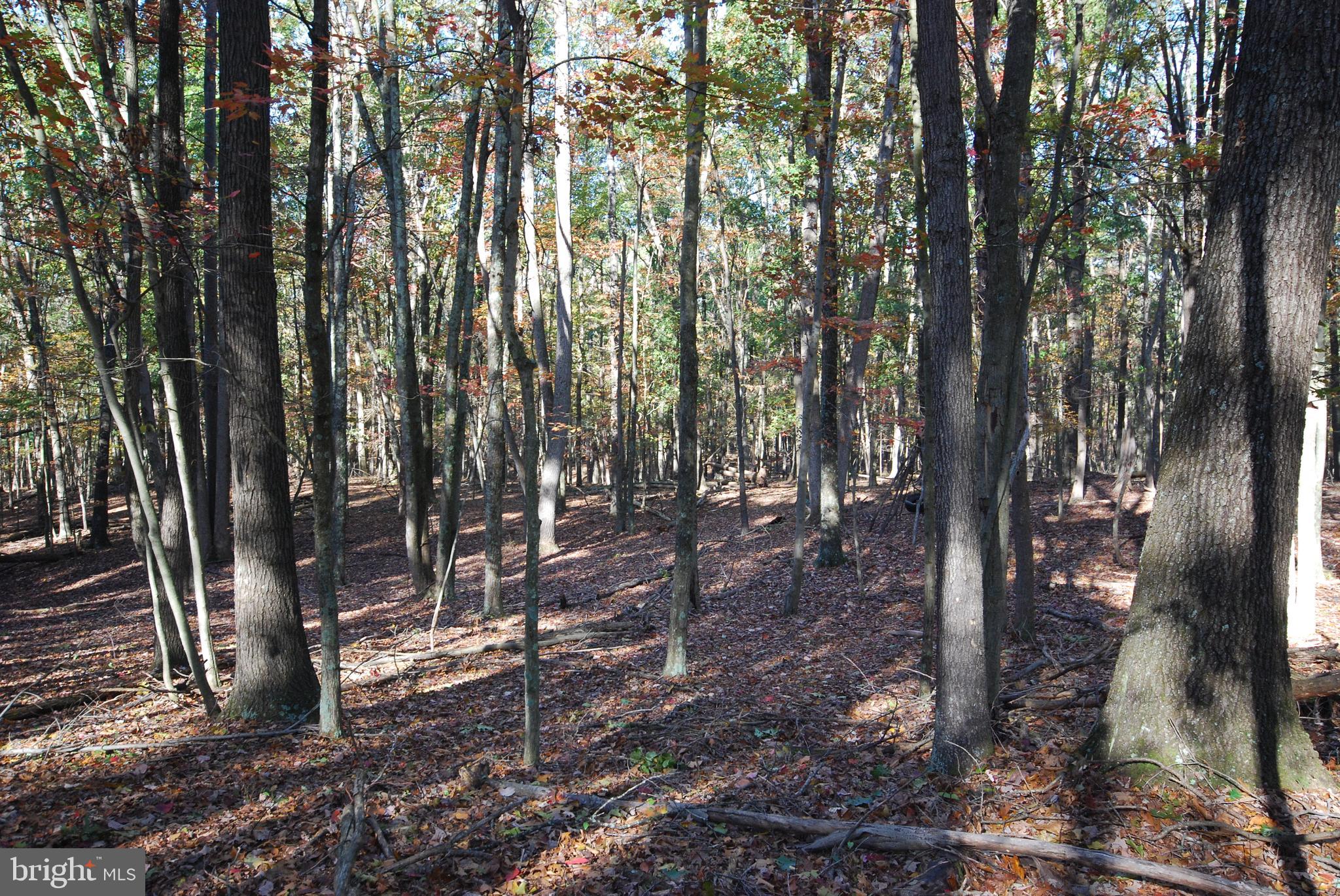 Lot 17 Gaither Road Great Cacapon, WV 25422 - Photo 7 of 23 a view of outdoor space and yard