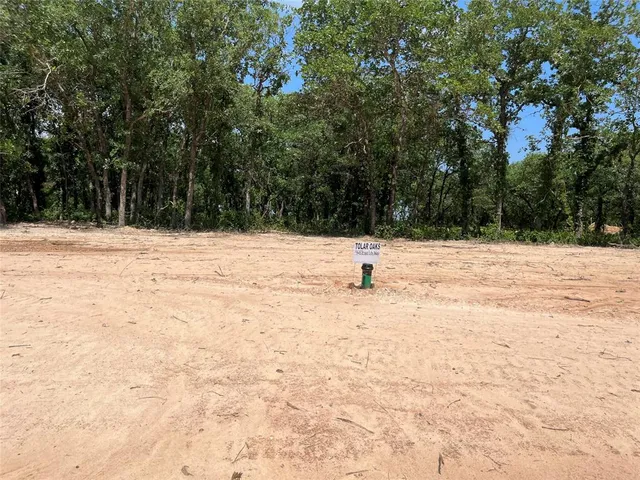 a view of empty space and covered with trees