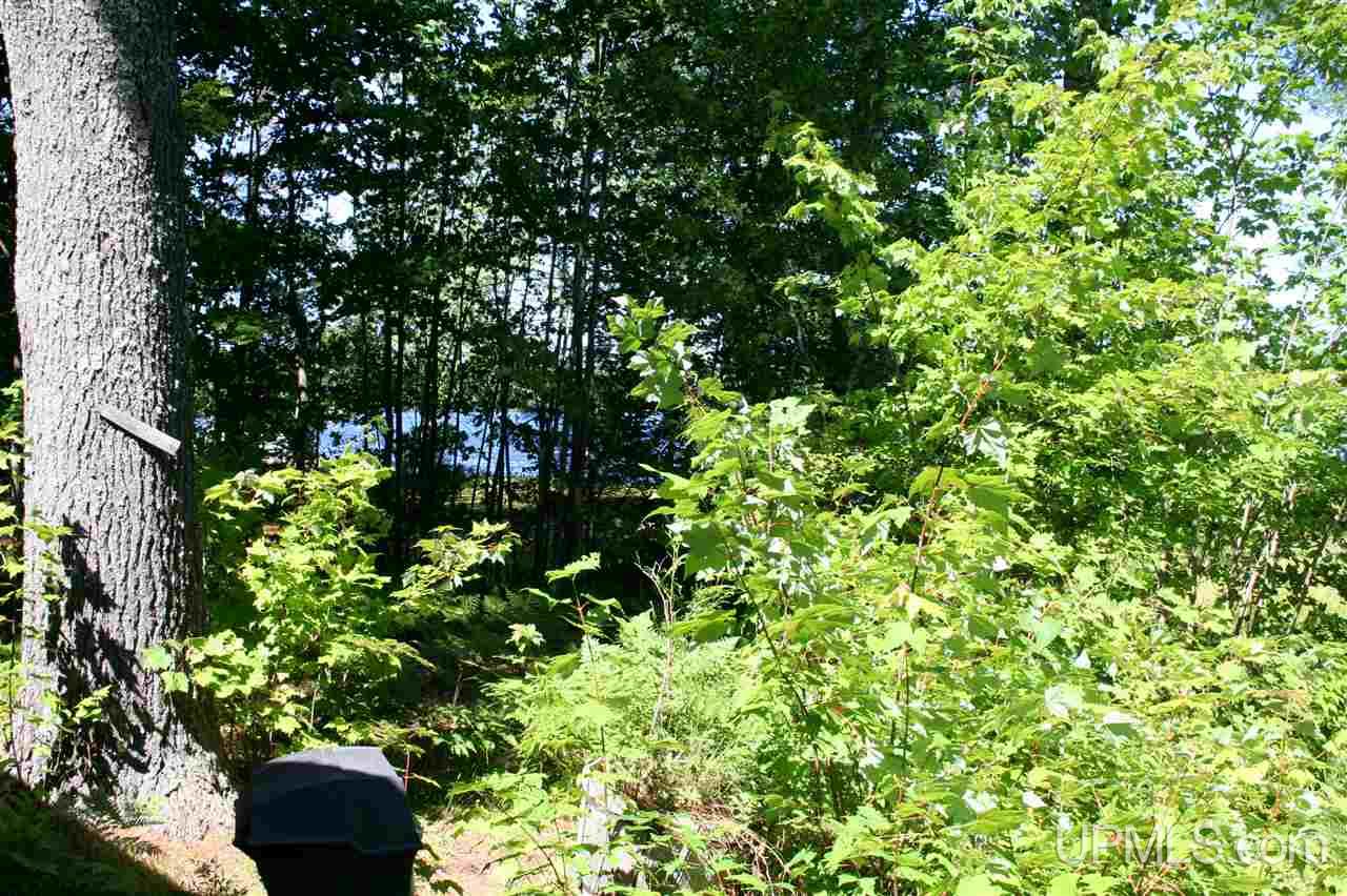 E6450 East Cook's Lake Road Munising, MI 49862 - Photo 14 of 23
