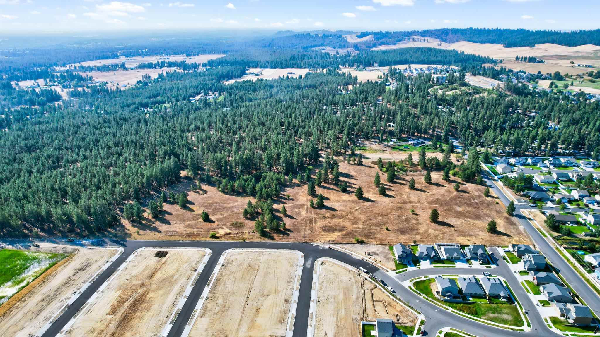 0 South Thomas Mallen Road Cheney, WA 99004 - Photo 17 of 44 Gallery Image 17