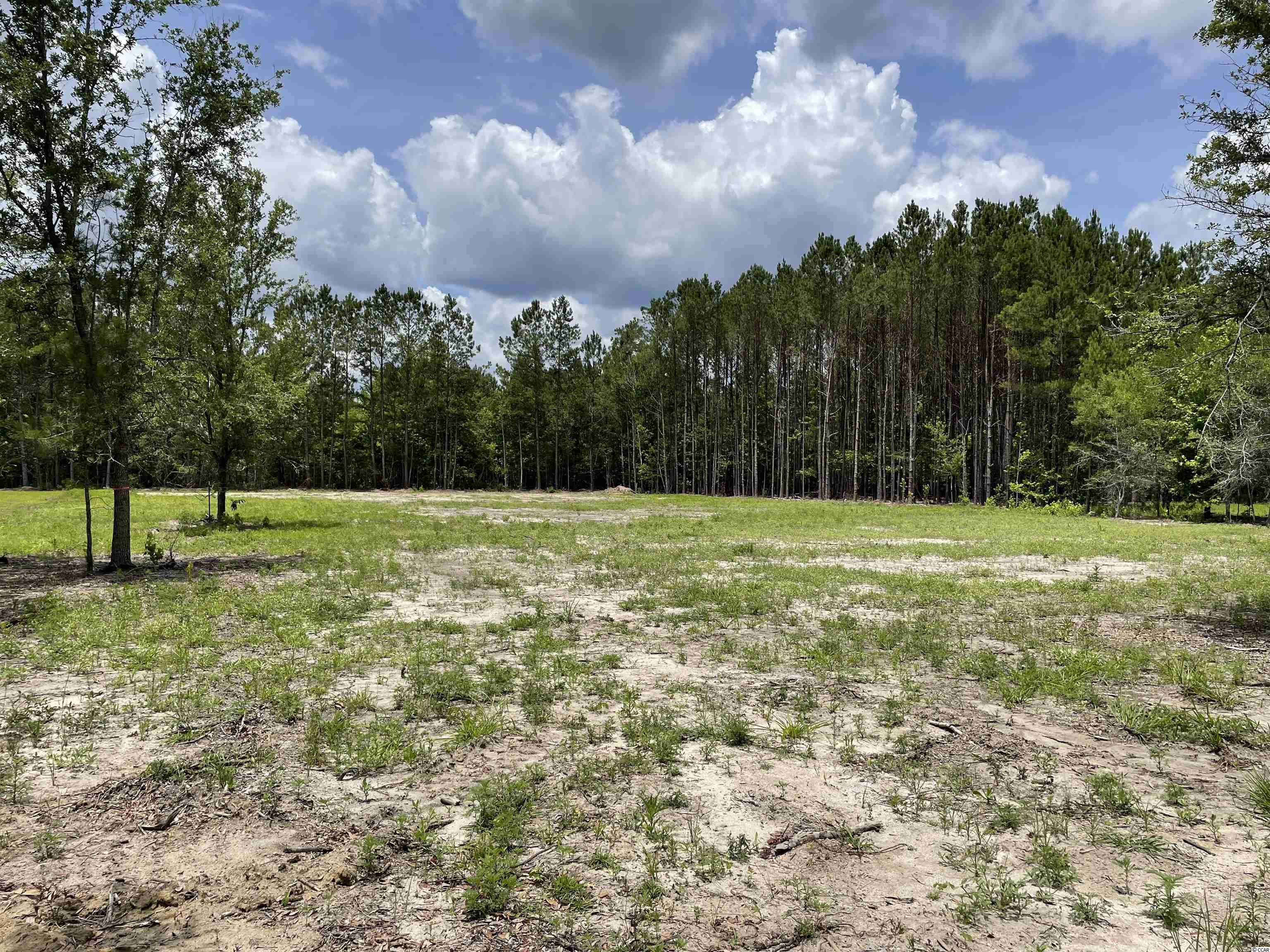 72 Brantly Road Andrews, SC 29510 - Photo 1 of 5