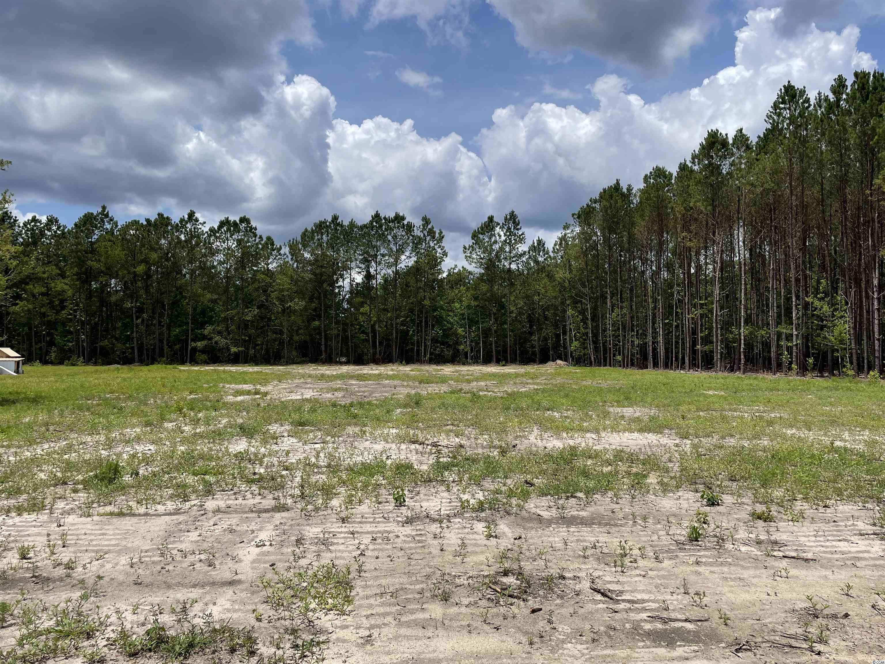 72 Brantly Road Andrews, SC 29510 - Photo 2 of 5