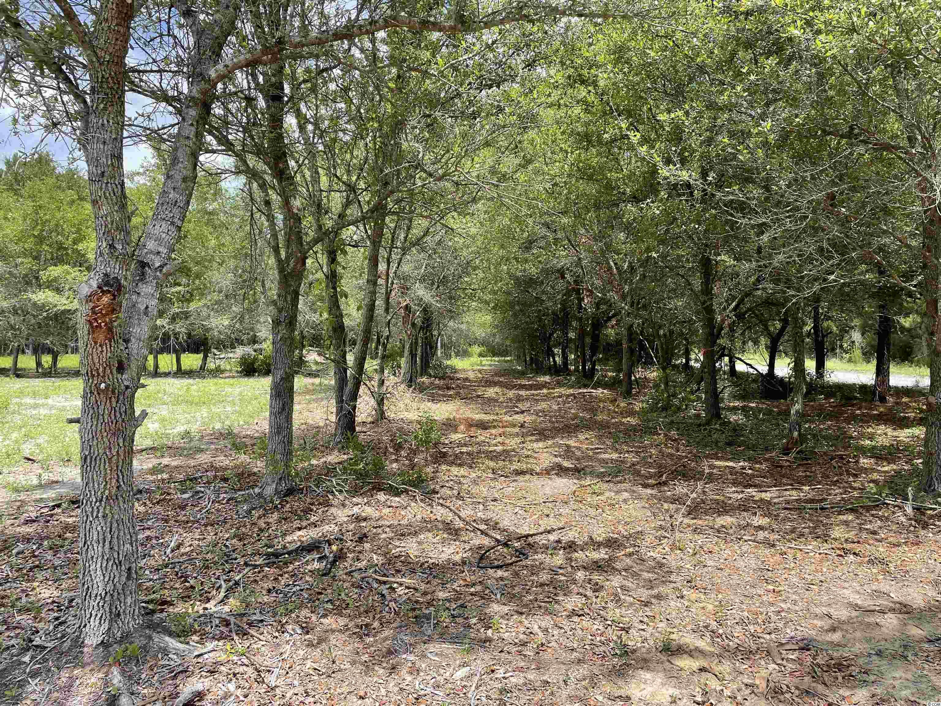 72 Brantly Road Andrews, SC 29510 - Photo 4 of 5