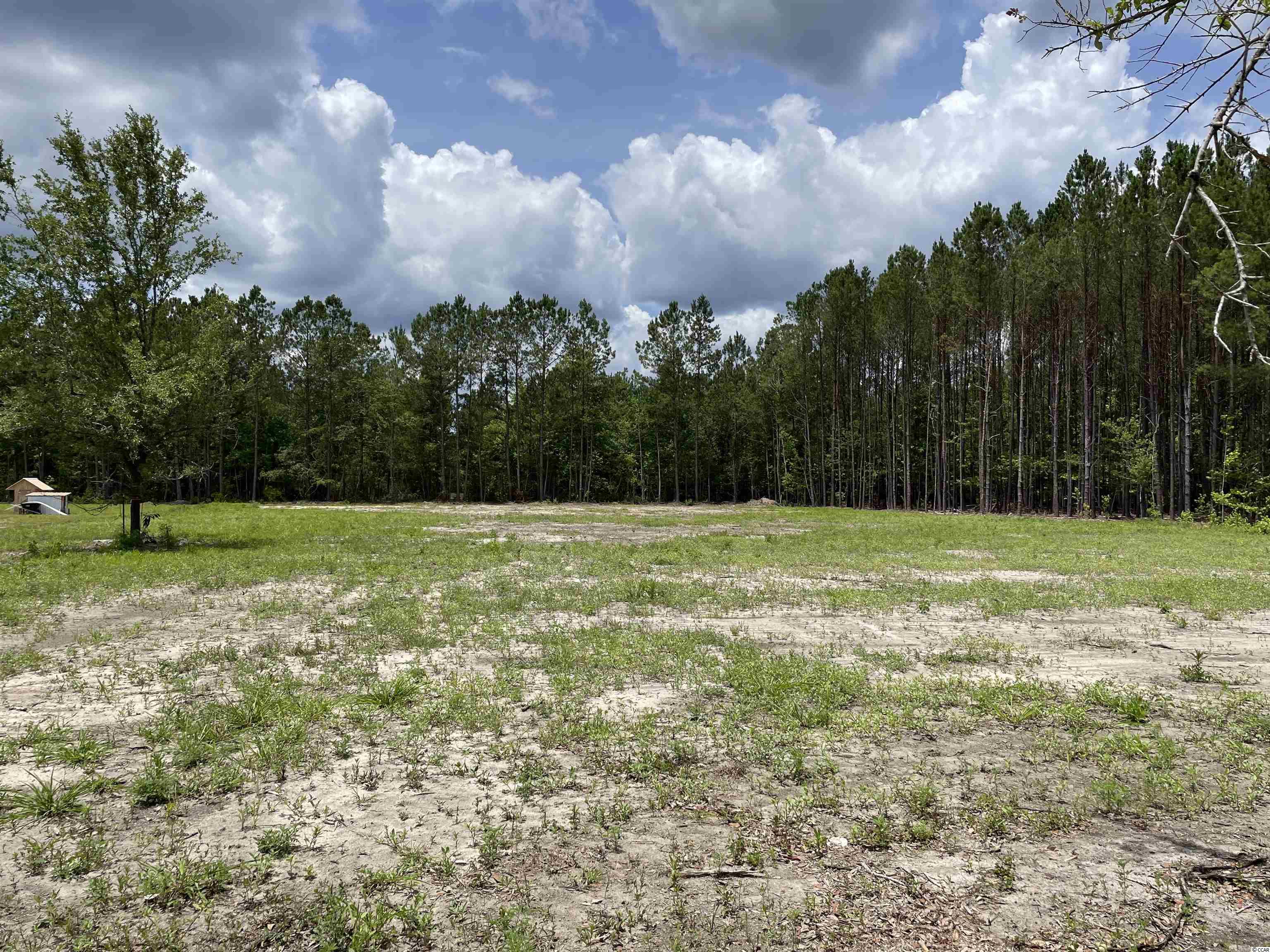 72 Brantly Road Andrews, SC 29510 - Photo 5 of 5