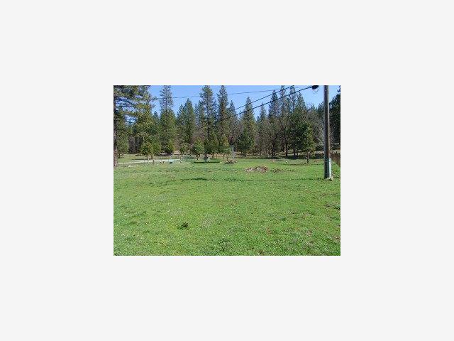 5677 Swiss Ranch Road Mountain Ranch, CA 95246 - Photo 6 of 9 a picture of a bench in a field
