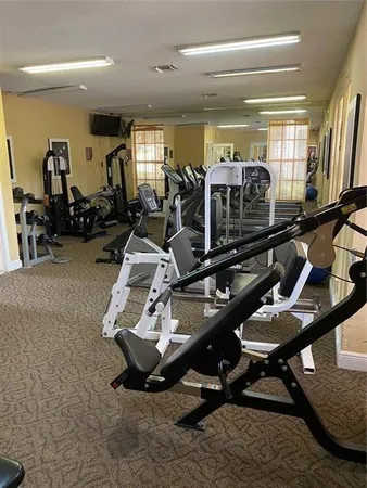 a view of a park with a palm tree