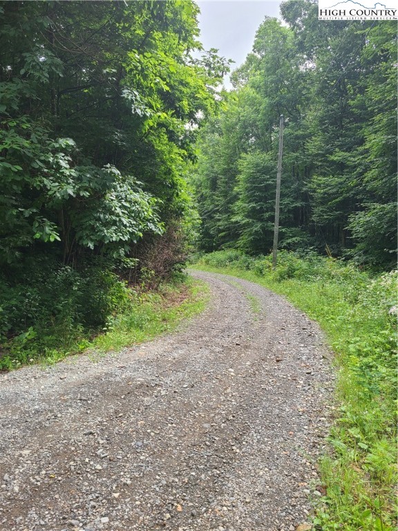 2085 Ball Branch Road Boone, NC 28607 - Photo 2 of 8 a view of a yard with a tree
