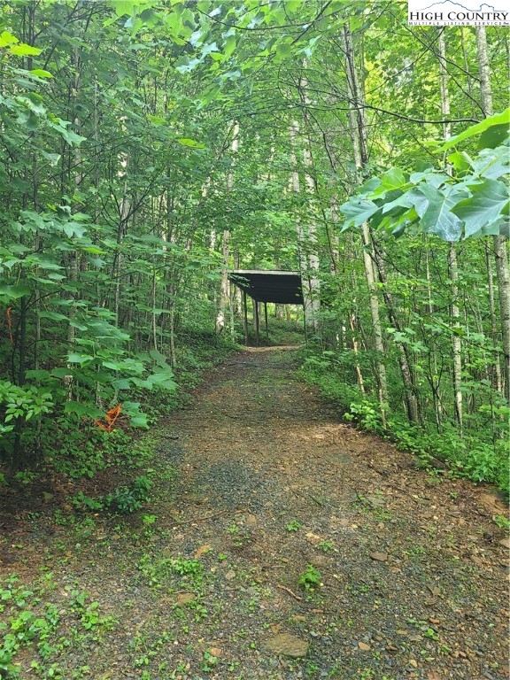 2085 Ball Branch Road Boone, NC 28607 - Photo 7 of 8 a view of a pathway with a park