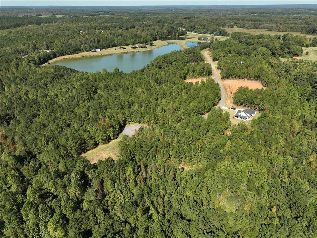 5215 Mary Olive Road Opelika, AL 36801 - Photo 4 of 10 Gallery Image 4