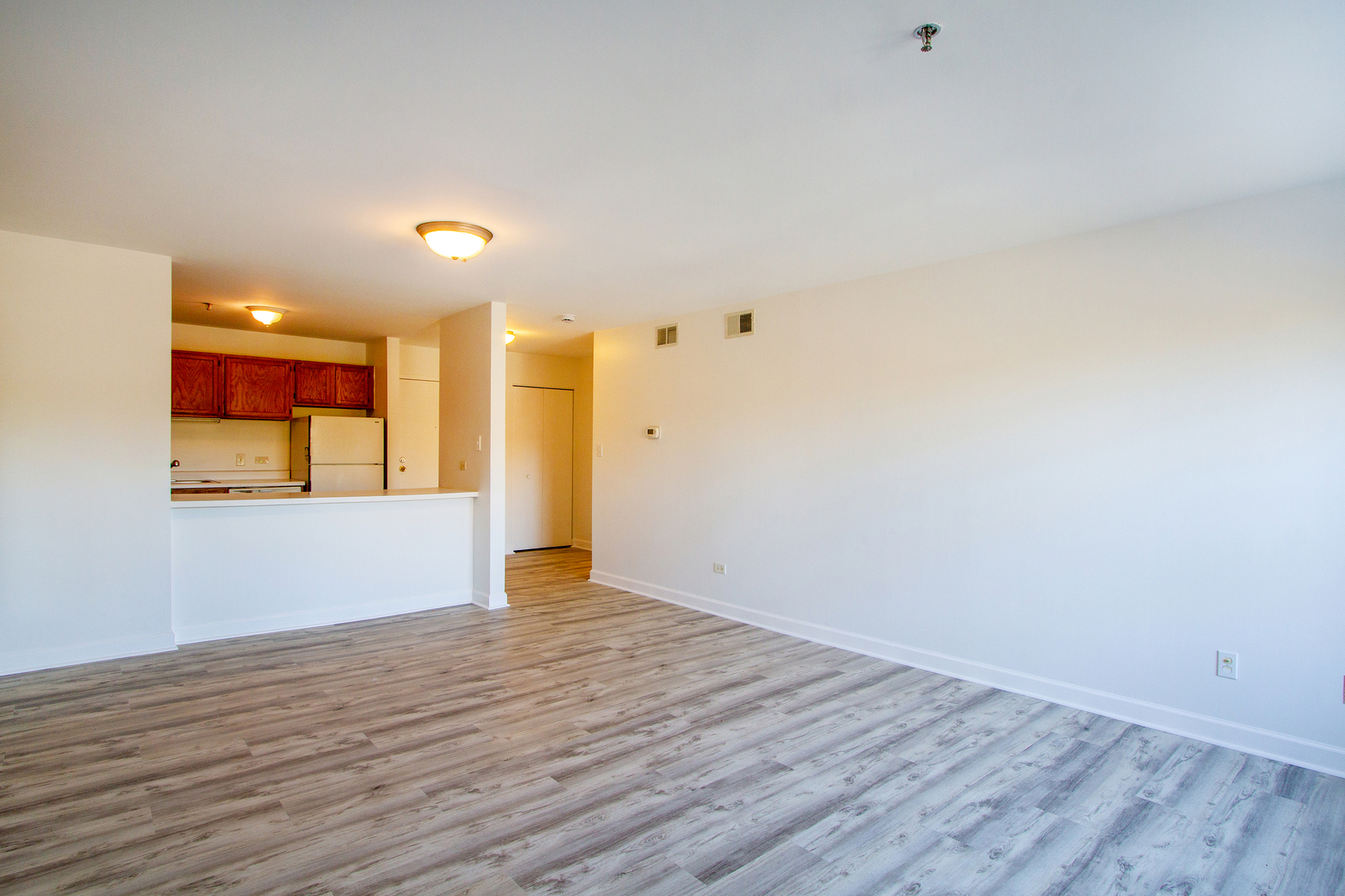 3265 Kirchoff Road, Unit 223 Rolling Meadows, IL 60008 - Photo 4 of 12 a view of an empty room with wooden floor