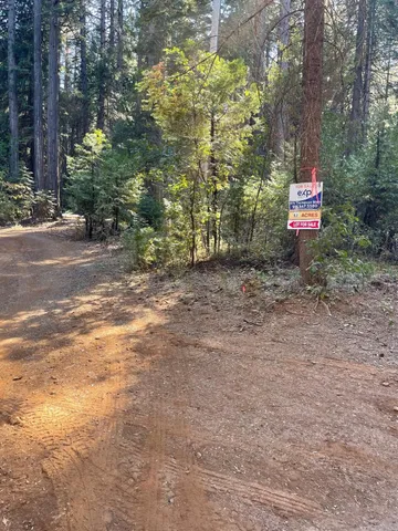 a pathway of a house with large trees