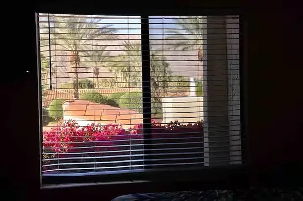 a view of a window