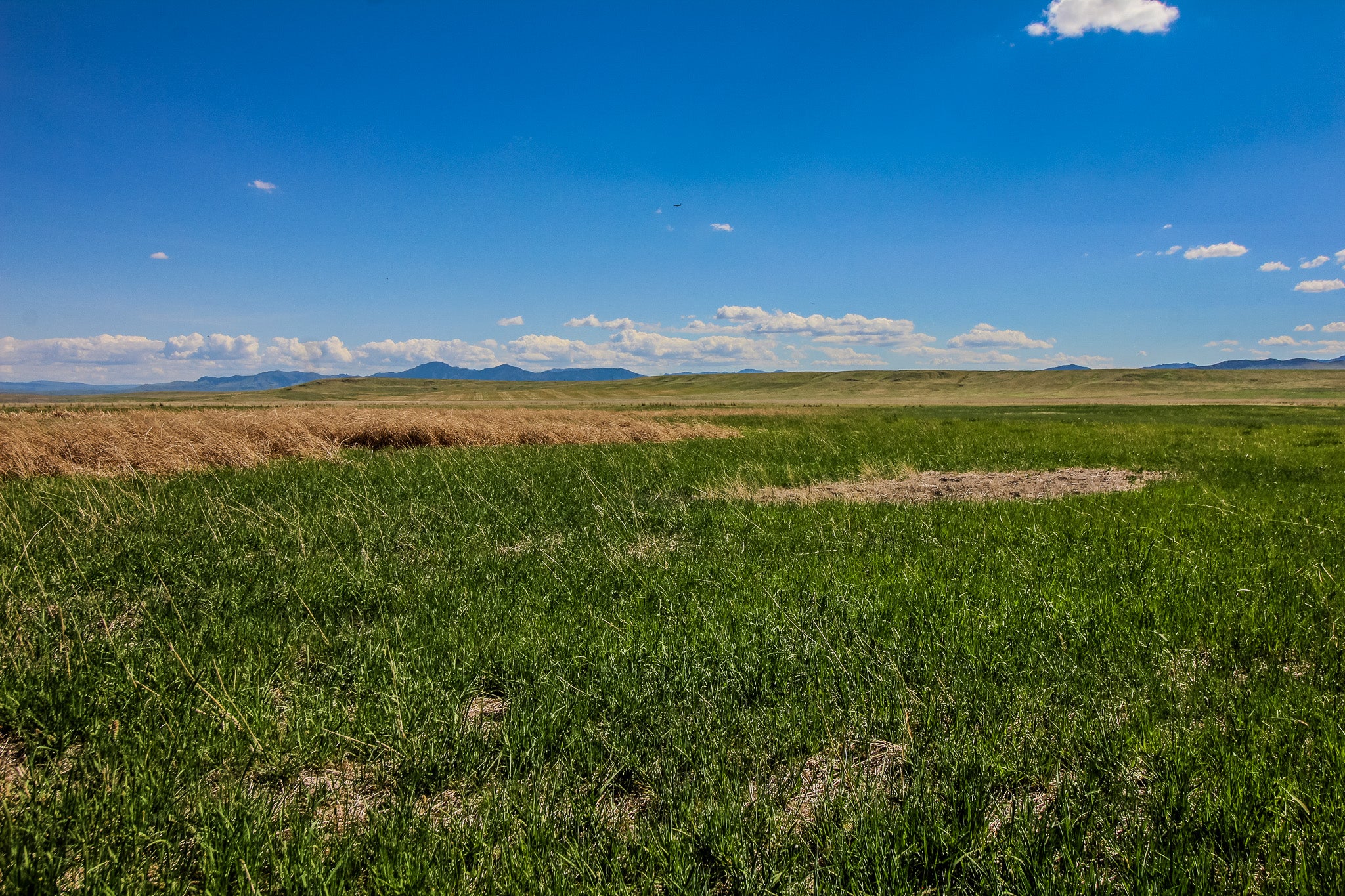 30 Old Ulm Cascade Road Cascade, MT 59421 - Photo 2 of 7 Gallery Image 2