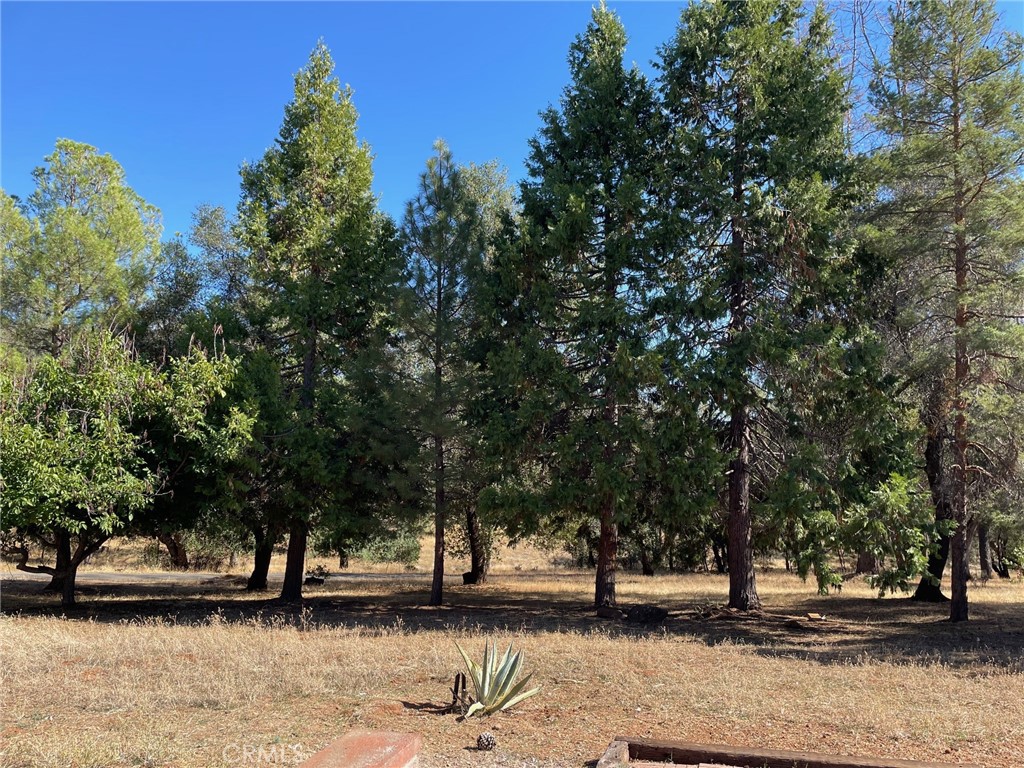 9275 Sheep Ranch Road Mountain Ranch, CA 95246 - Photo 13 of 18 a view of park area
