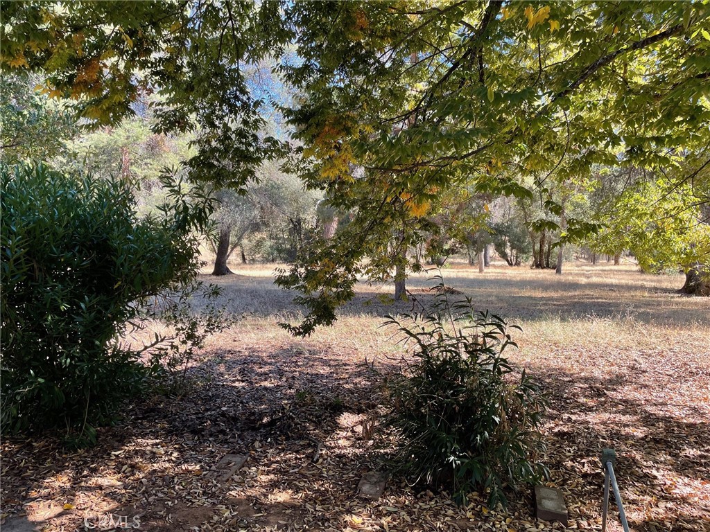 9275 Sheep Ranch Road Mountain Ranch, CA 95246 - Photo 14 of 18 a view of dirt road with a building