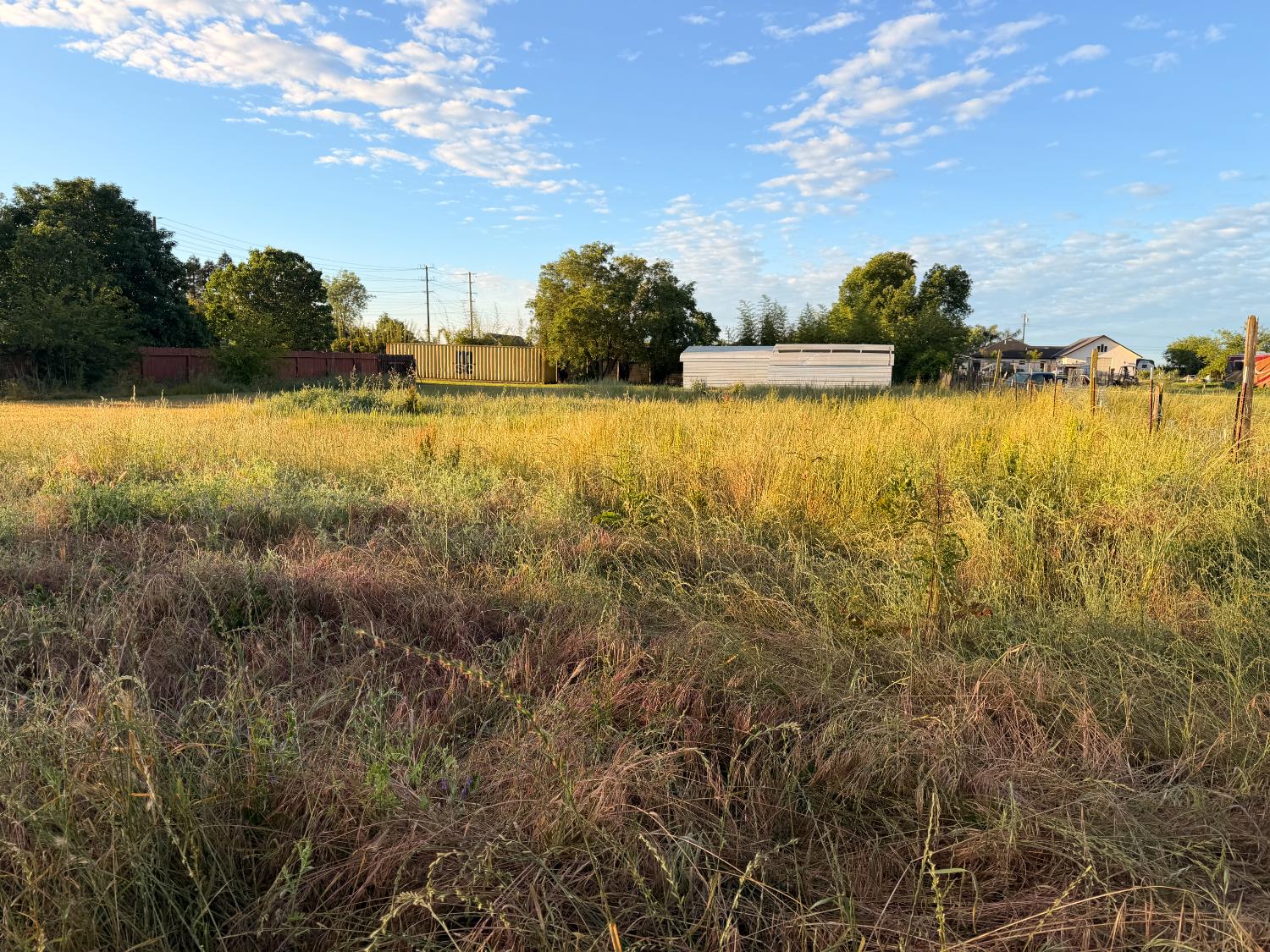 5645 20th Street Rio Linda, CA 95673 - Photo 14 of 69 view of south pasture from rear of north pasture