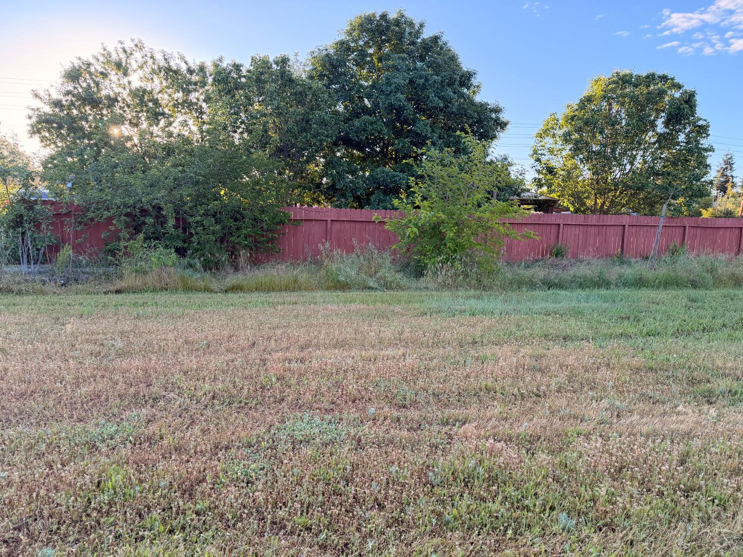 5645 20th Street Rio Linda, CA 95673 - Photo 16 of 69 view from rear fence line to backyard fenced area