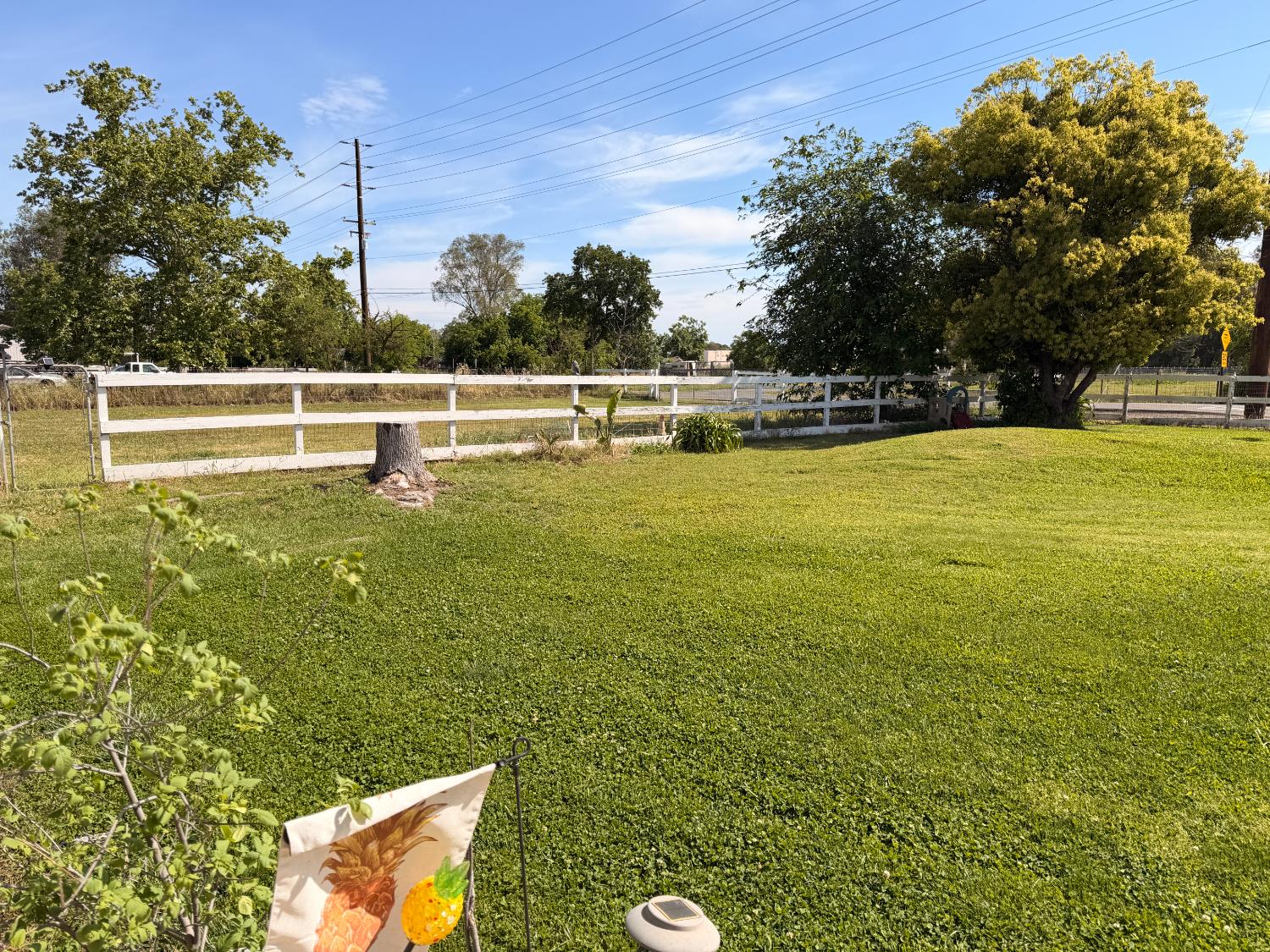 5645 20th Street Rio Linda, CA 95673 - Photo 5 of 69 view of yard