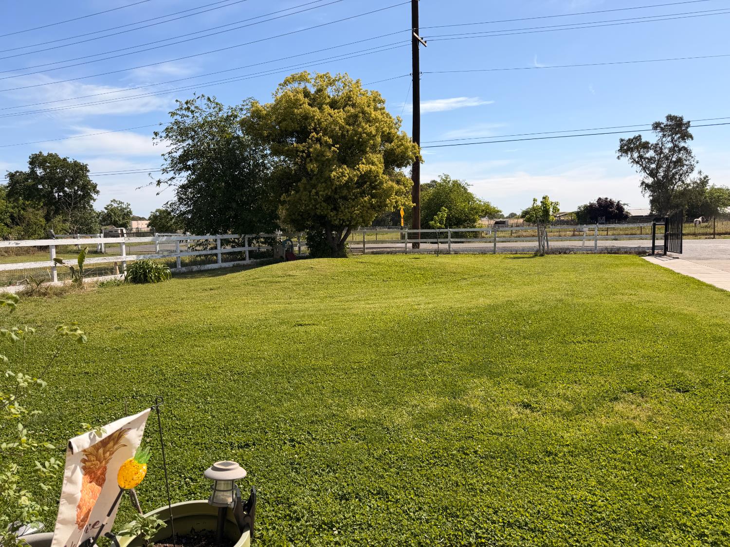 5645 20th Street Rio Linda, CA 95673 - Photo 7 of 69 view of front yard from porch