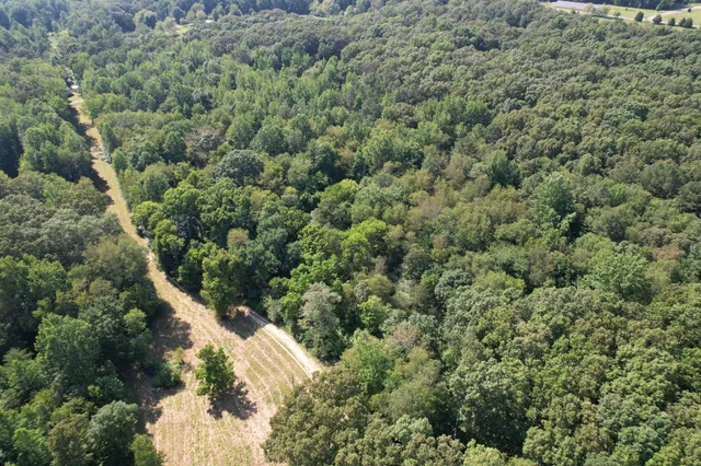 a view of a forest with a building