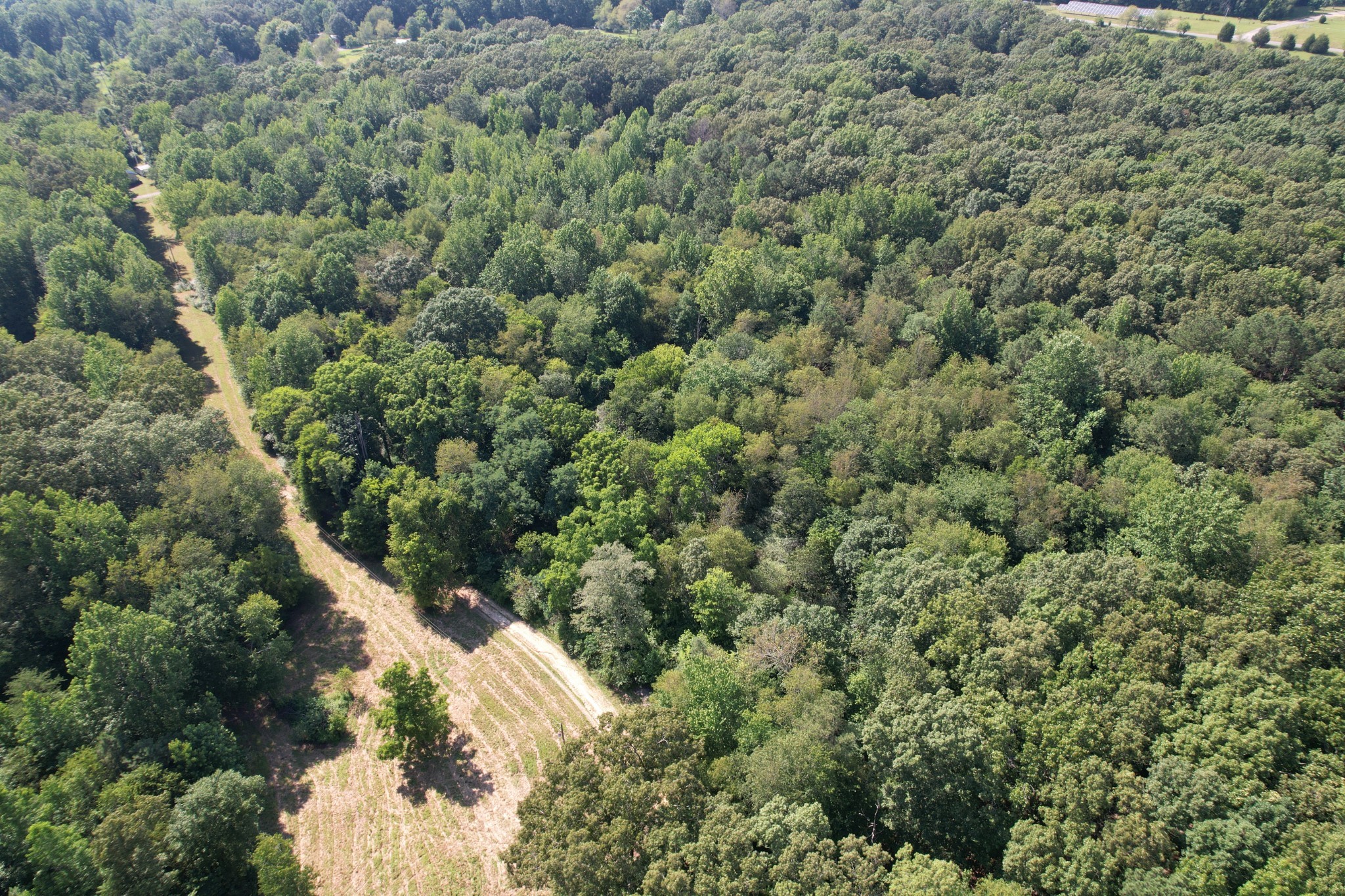 0 Webb Rd Extension Summertown, TN 38483 - Photo 11 of 29 a view of a forest with a building