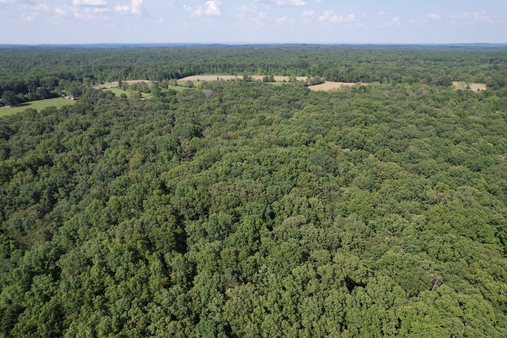 0 Webb Rd Extension Summertown, TN 38483 - Photo 12 of 29 a view of a city with lush green forest