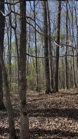 a view of outdoor space with wooden fence