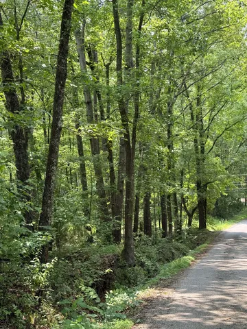 $41,500 | 0 Webb Rd Extension, Summertown, TN 38483