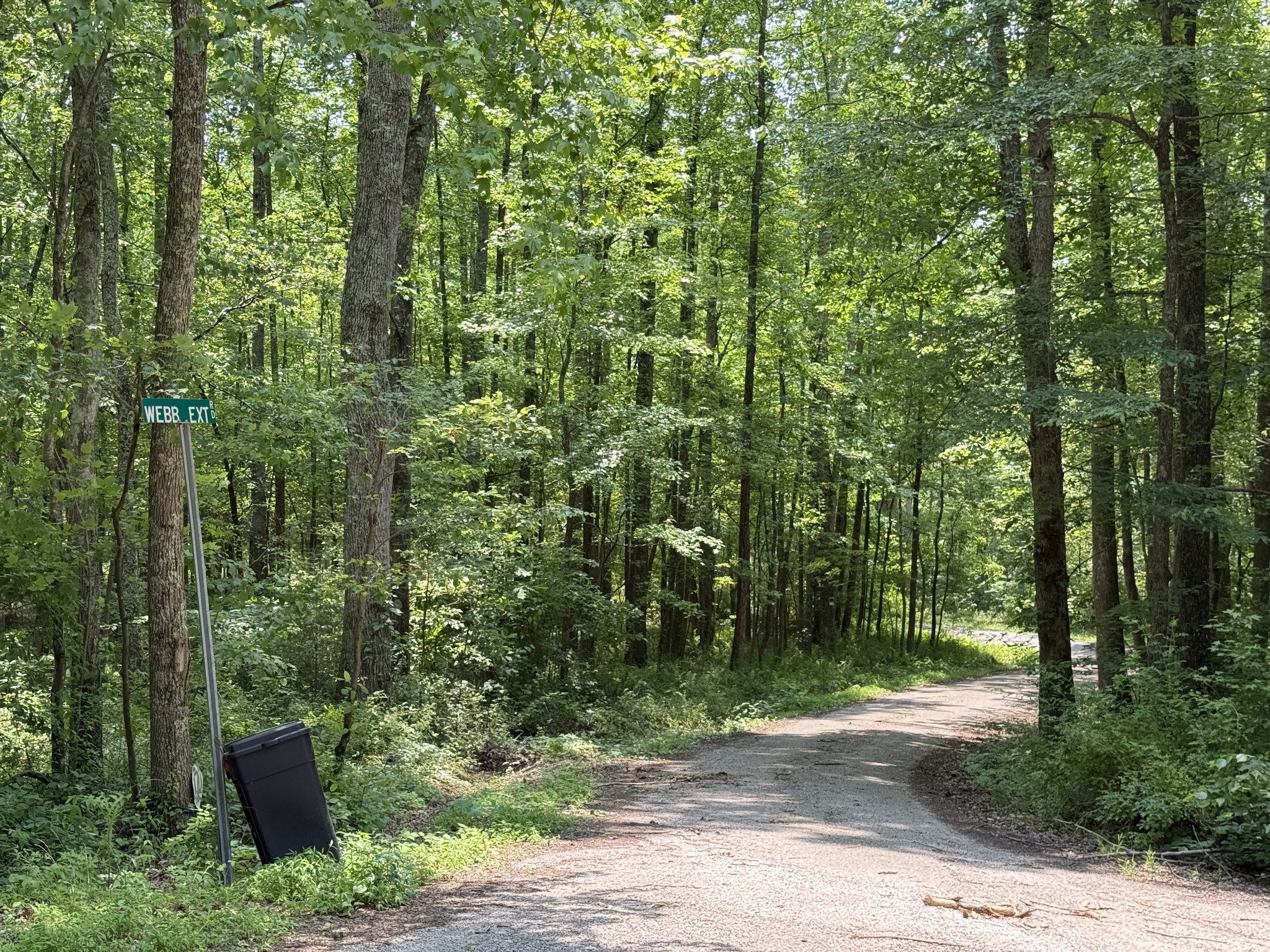 0 Webb Rd Extension Summertown, TN 38483 - Photo 29 of 29 a view of a forest with trees