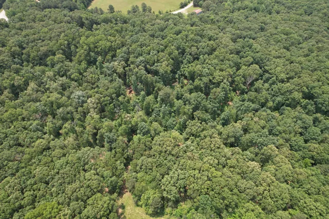 a view of a large yard with lots of green space