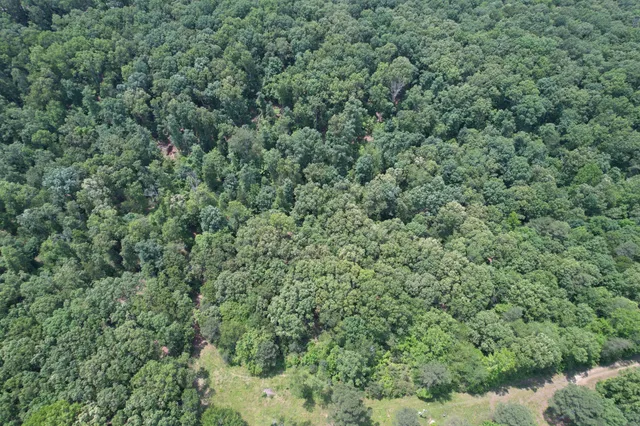 an aerial view of residential house with outdoor space and trees all around