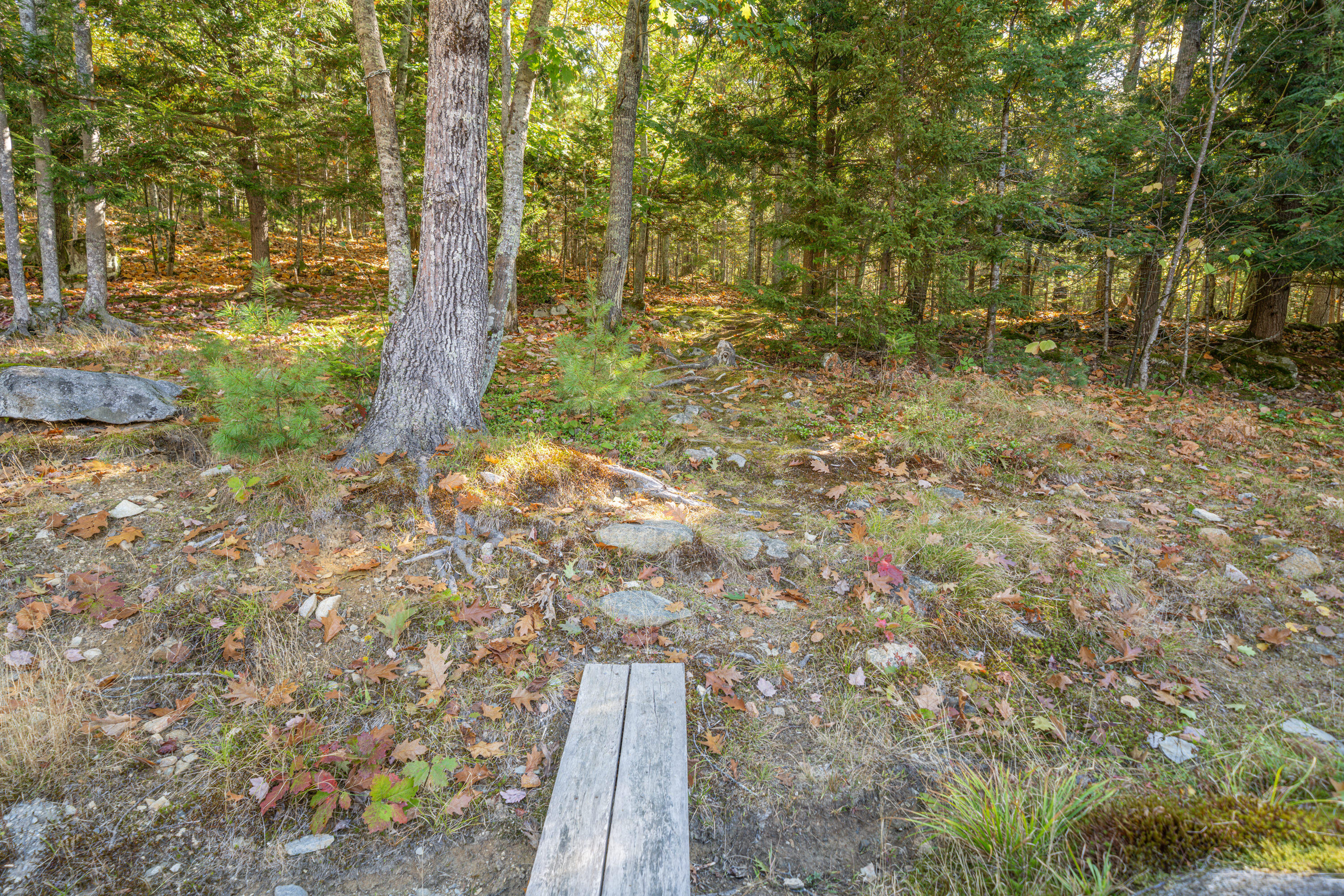 474 Leaches Point Road Orland, ME 04472 - Photo 60 of 90 9240
