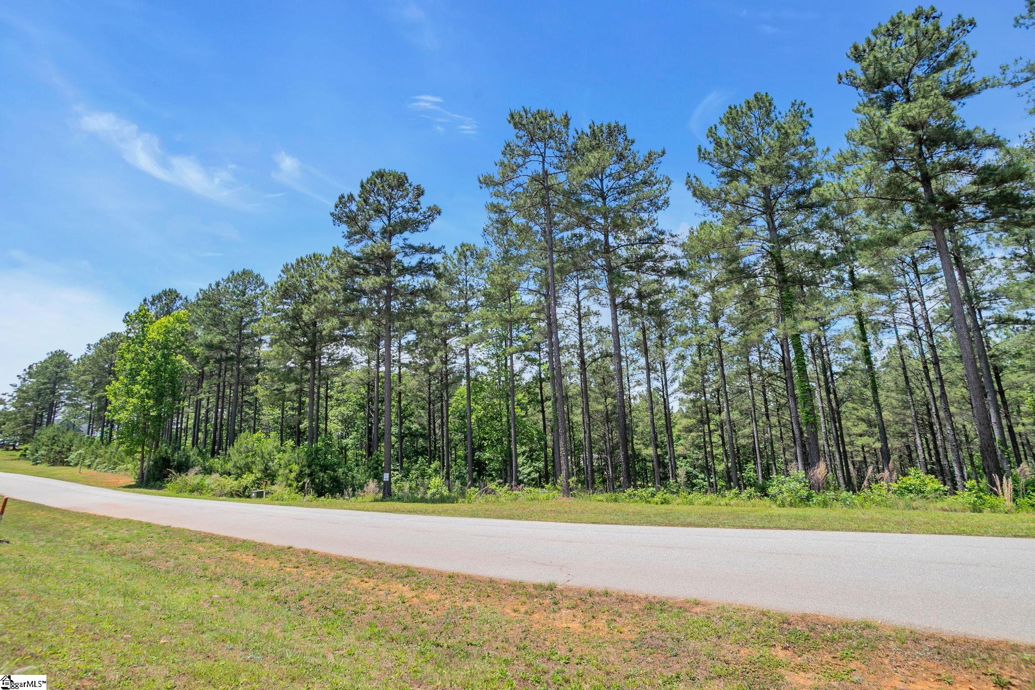 114 Highlands Ridge Road Salem, SC 29676 - Photo 4 of 14