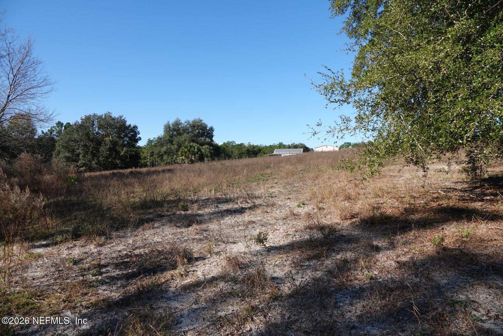 525 Raulerson Road Seville, FL 32190 - Photo 11 of 32 a view of a road with a tree in the background