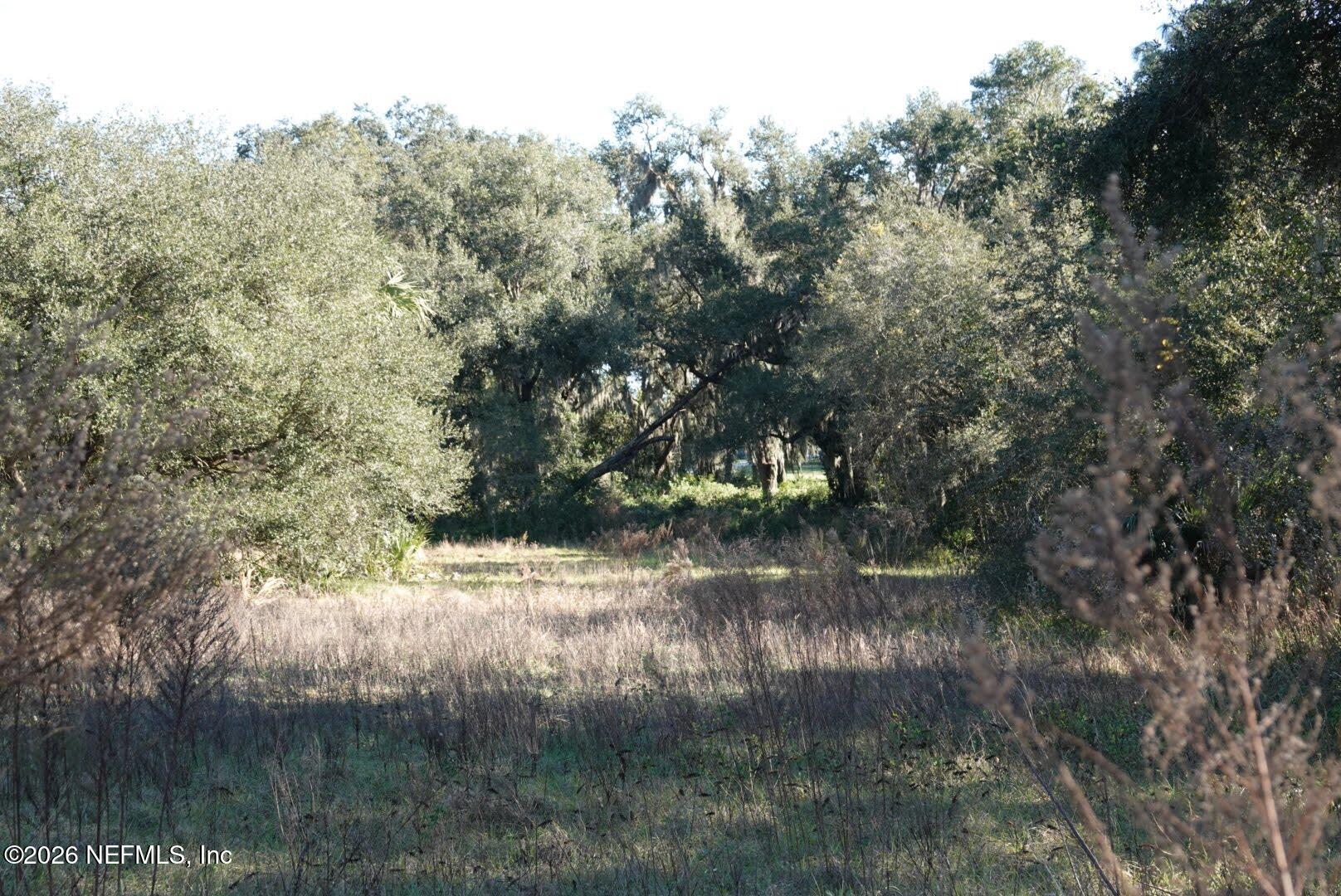 525 Raulerson Road Seville, FL 32190 - Photo 12 of 32 a view of lake