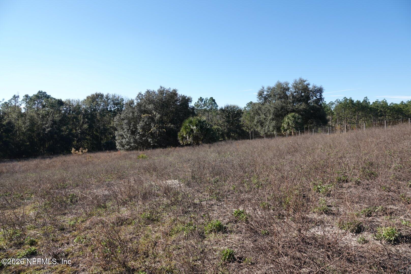 525 Raulerson Road Seville, FL 32190 - Photo 16 of 32 a view of a field with trees in background