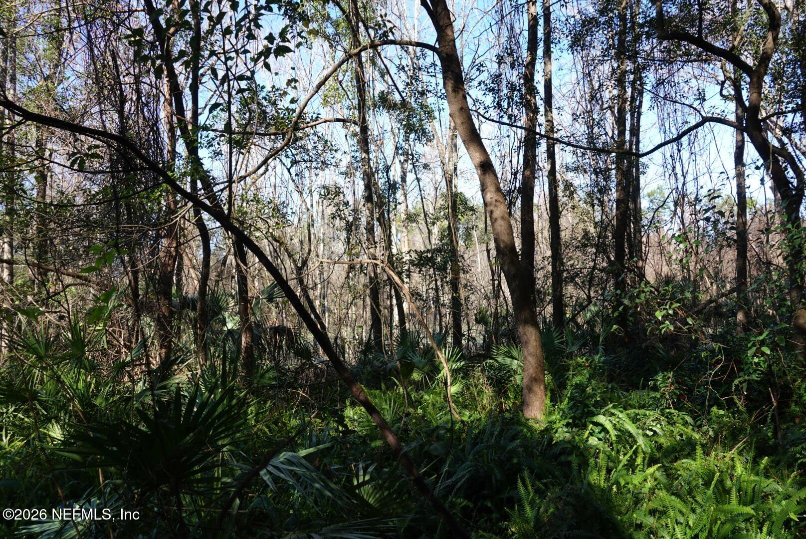 525 Raulerson Road Seville, FL 32190 - Photo 20 of 32 an outdoor space with lots of trees