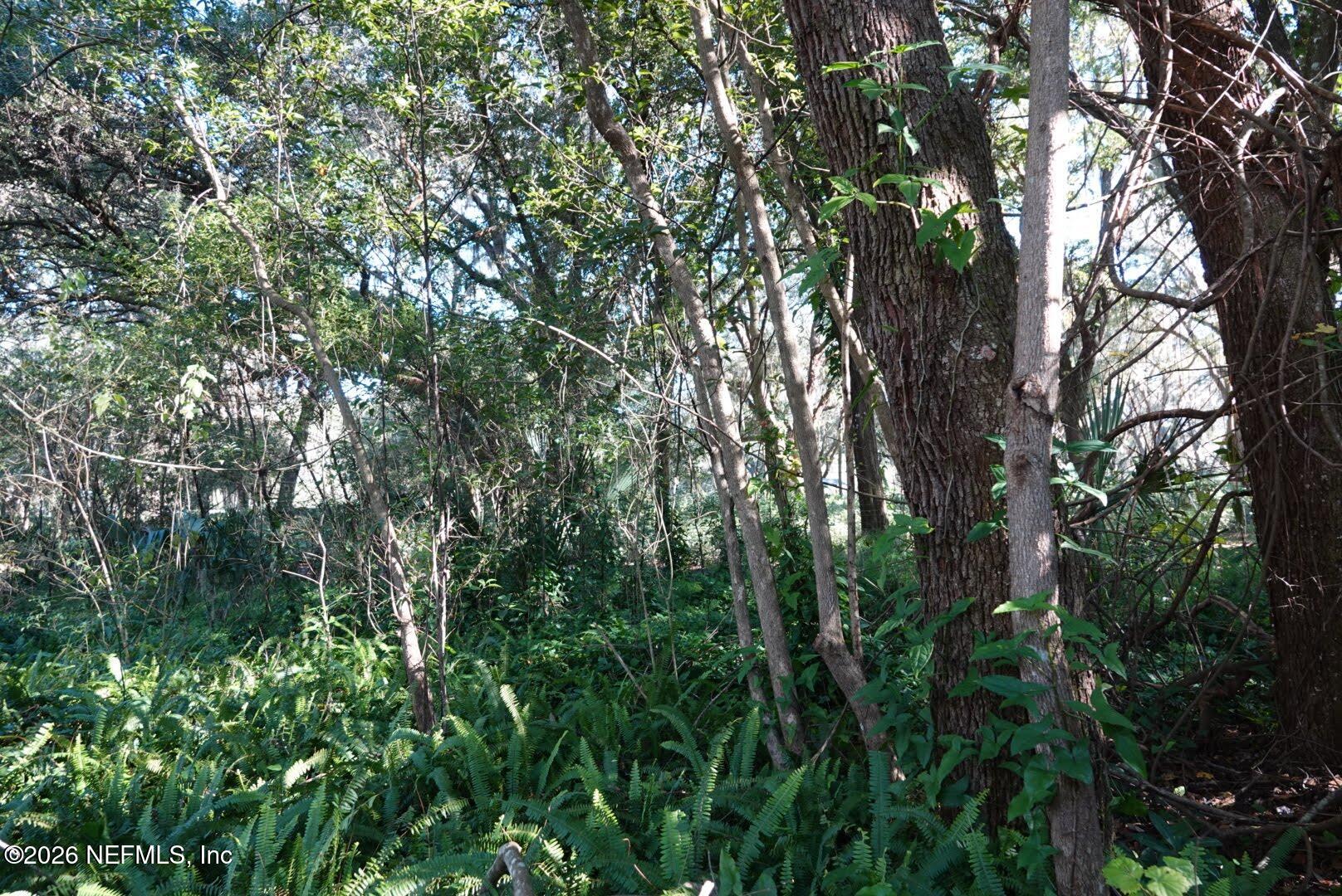 525 Raulerson Road Seville, FL 32190 - Photo 22 of 32 a view of tree